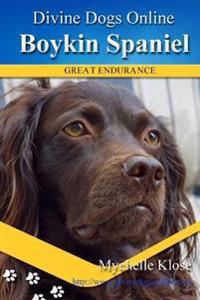 Boykin Spaniels