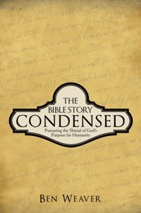 Bible Story Condensed