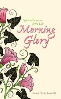 Morning Glory