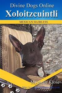 Xoloitzcuintli