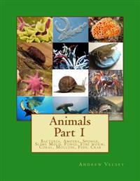 Bacteria, Amoeba, Sponge, Slime Mold, Fungi, Tube Worm, Coral, Mollusc, Fish, Crab