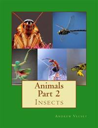 Insects