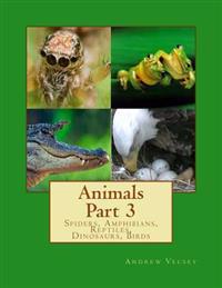 Spiders, Amphibians, Reptiles, Dinosaurs, Birds