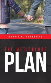 Meticulous Plan