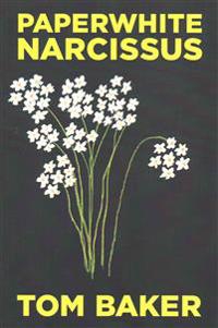 Paperwhite Narcissus