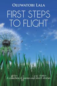 First Steps to Flight