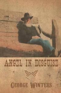 Kirjan kansi "Angel in Disguise"