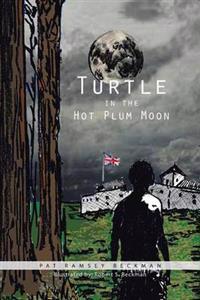 Turtle in the Hot Plum Moon