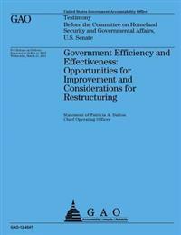 Government Efficiency and Effectiveness: Opportunities for Improvements and Considerations for Restructuring