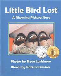 Little Bird Lost