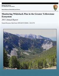 Monitoring Whitebark Pine in the Greater Yellowstone Ecosystem: 2011 Annual Report
