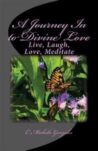 A Journey in to Divine Love