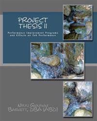 Project Thesis II: Performance Improvement Programs and Effects on Job Performance