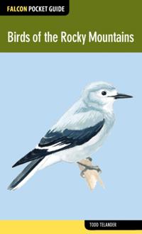 Falcon Pocket Guides