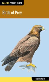 Falcon Pocket Guides