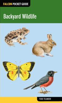 Falcon Pocket Guides