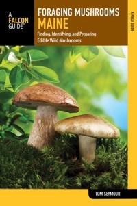 Foraging Series