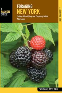 Foraging Series