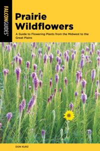 Wildflower Series