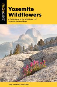 Wildflower Series