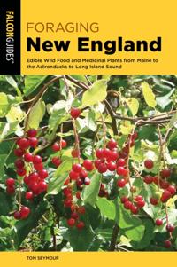 Foraging Series
