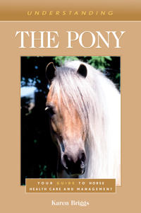 Understanding the Pony