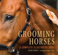 Grooming Horses