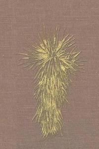 Bokomslag for "Marfa and Presidio County, Texas"