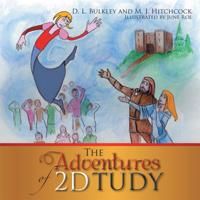 Adventures of 2D Tudy