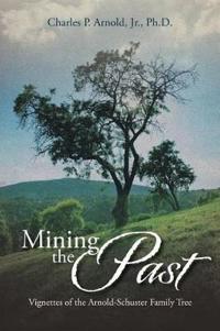 Kirjan kansi "Mining the Past"