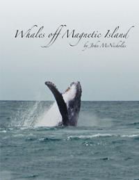 Whales off Magnetic Island