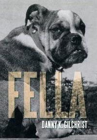 Kirjan kansi "Fella"