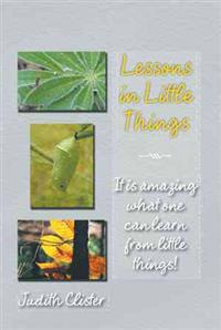 Bokomslag for "Lessons in Little Things"