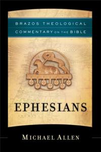 Brazos Theological Commentary on the Bible