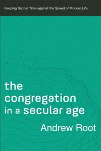 Ministry in a Secular Age