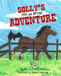 Solly's not-so-great Adventure