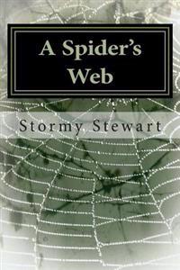 A Spider's Web: Revised