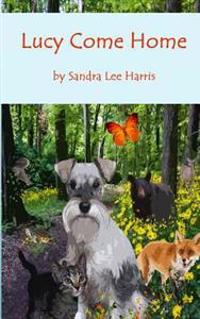 Lucy Come Home: A Dog's Spiritual Journey through an Enchanted Forest