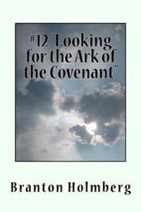 Lookin fer the Ark of the Covenant