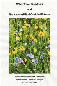 Wild Flower Meadows and the Arcelormittal Orbit in Pictures: Olympic Legacy