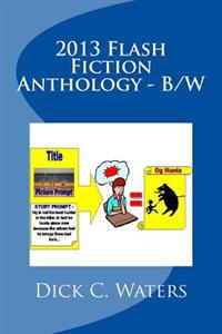 Flash Fiction Anthology 2013 - B/W