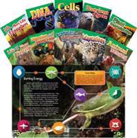Let's Explore Life Science Grades 4-5, 10-Book Set