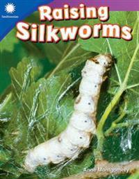 Raising Silkworms