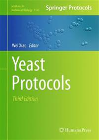 Yeast Protocols