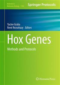 Hox Genes