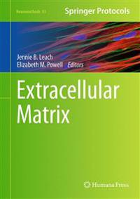 Extracellular Matrix