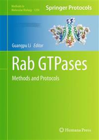 Rab GTPases