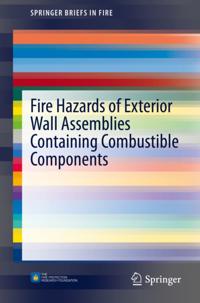 SpringerBriefs in Fire