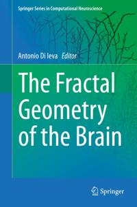 Fractal Geometry of the Brain