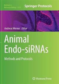 Animal Endo-SiRNAs